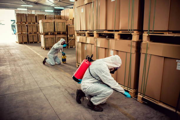 Best Rat Extermination Near Me  in Linden, NJ