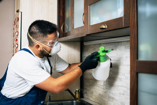 Best Local Pest Control Services  in Linden, NJ
