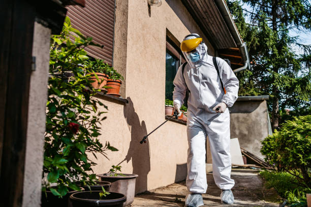 Bird Control in Linden, NJ