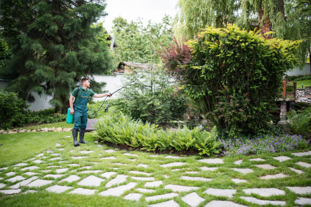 Best Pest Removal Services  in Linden, NJ
