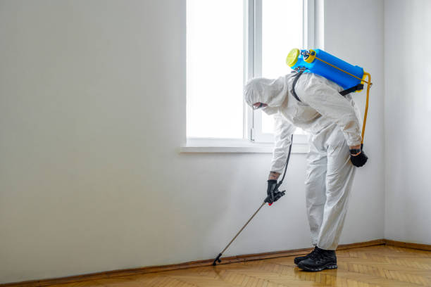 Best Termite Control Services  in Linden, NJ
