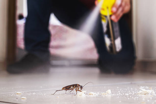 Flea Control Services in Linden, NJ