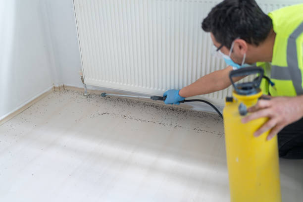 Trusted Linden, NJ Pest Control Experts