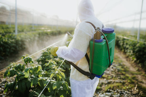 Best Affordable Pest Control Services  in Linden, NJ